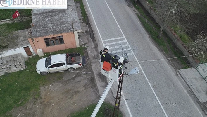 Tekirdağ'da leyleklerin akıma kapılmaması için elektrik direklerine özel platformlar kuruluyor