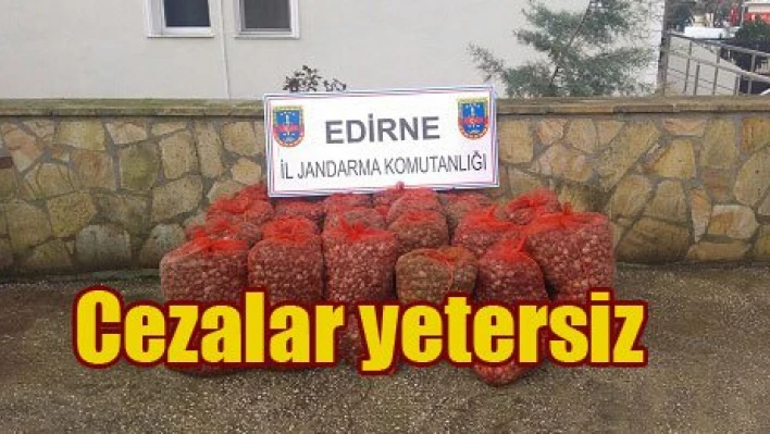 'Kanunun değişmesi gerekiyor'