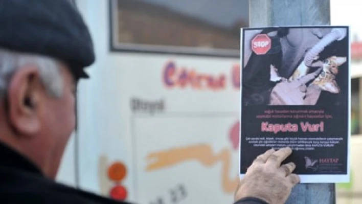 Kaputa tık tık