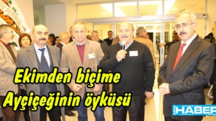  Ayçiçekleri dans etti