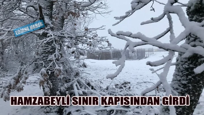 Vizesiz girdi