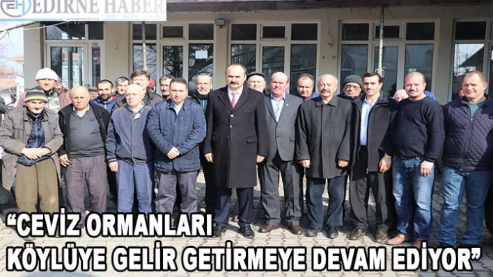 'Ceviz ormanları köylüye gelir getirmeye devam ediyor'