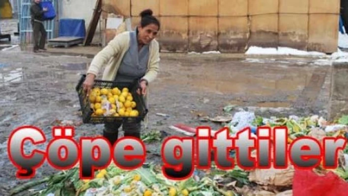 Soğuk zarar verdi