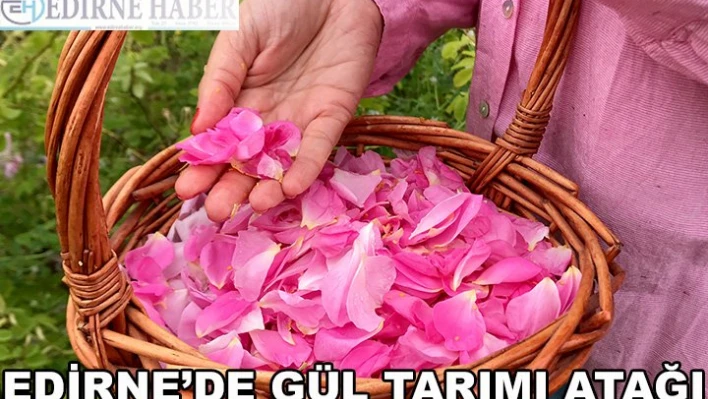 Edirne'de gül tarımı atağı