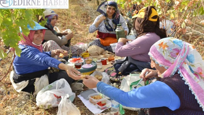 Kadınların bağ bozumu telaşı sürüyor