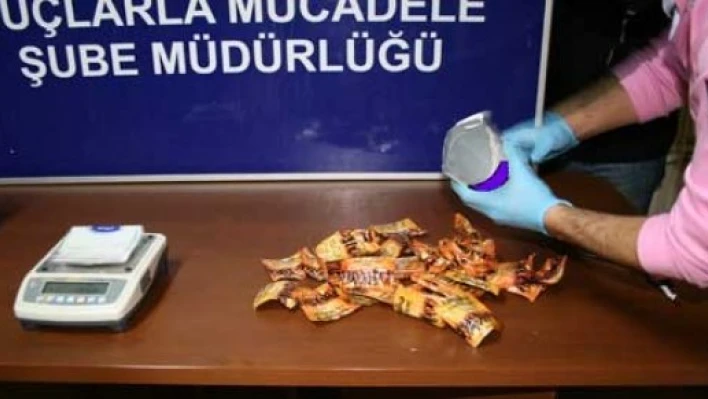 Süt kutusunda Bonzai
