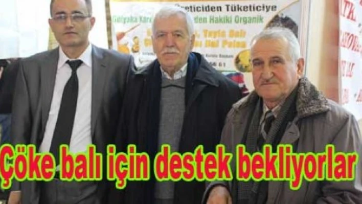 Bal üreticileri destek bekliyor