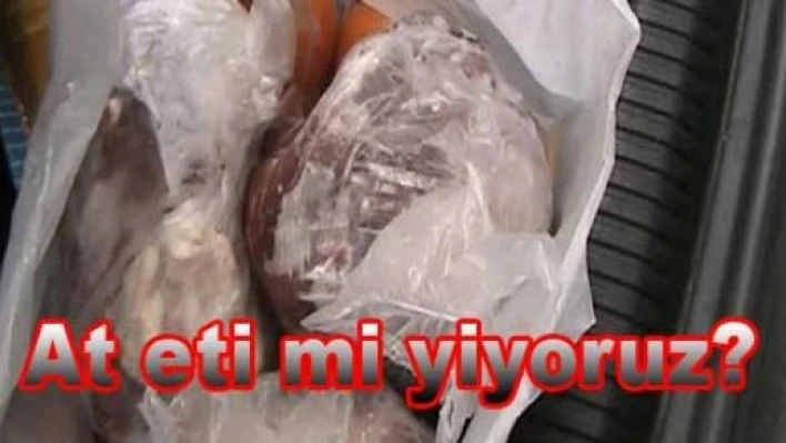 At Eti gelecek mi?
