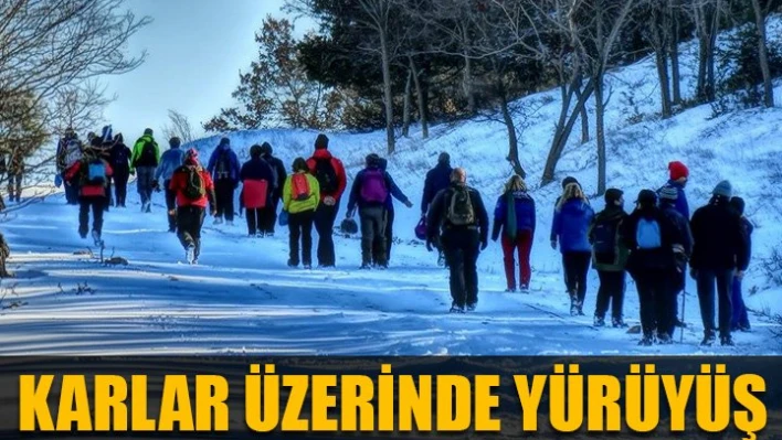 İlk yürüyüş karda