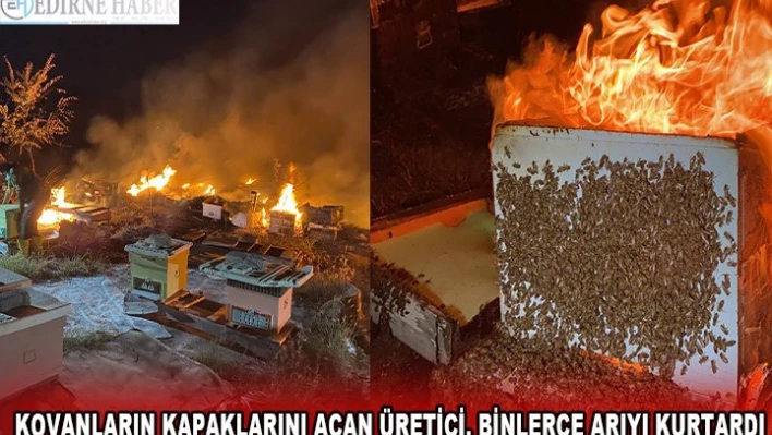 KOVANLARIN KAPAKLARINI AÇAN ÜRETİCİ, BİNLERCE ARIYI KURTARDI