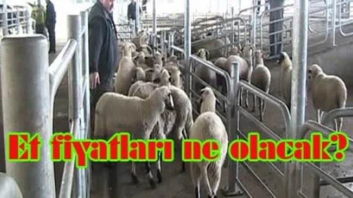 Et fiyatı neden düşmüyor?