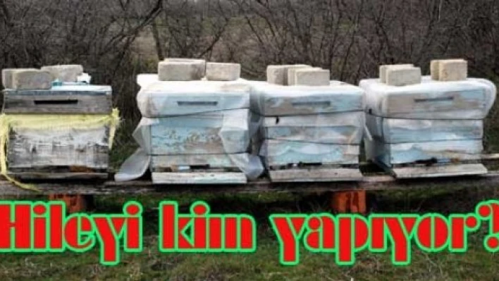 “Hileyi Arı değil, insanlar yapıyor”