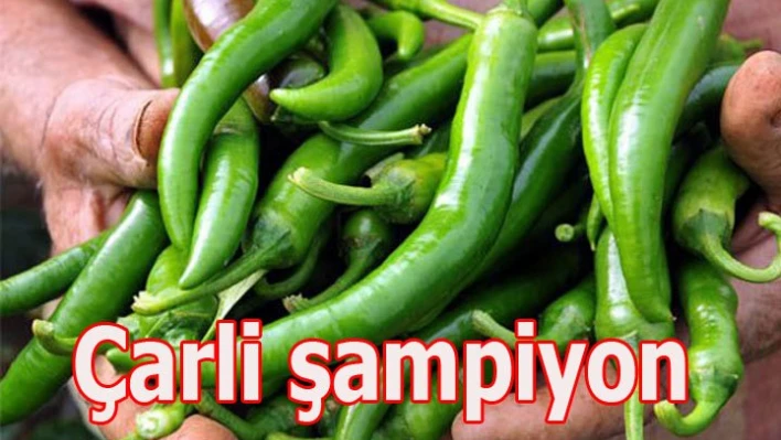 Biber Şampiyon oldu