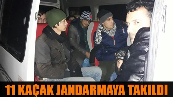 İnsan taciri tutuklandı