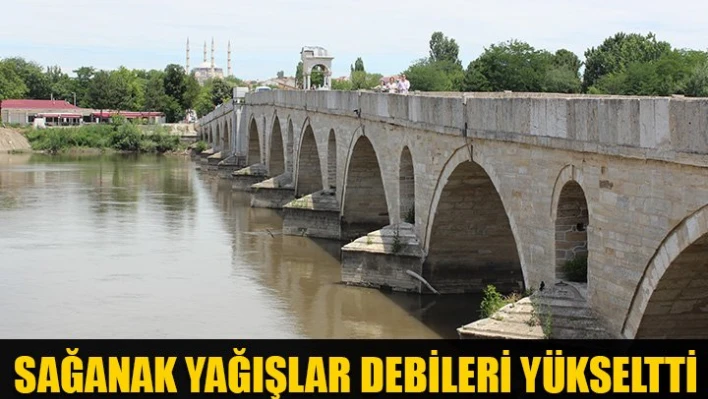 Debiler arttı