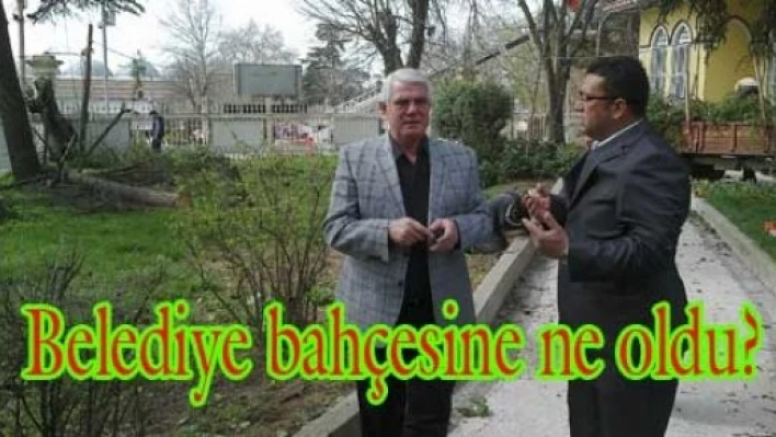 Belediye bahçesine düzenleme