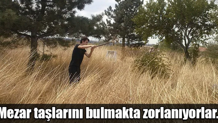 Devlet buradan geçmiyor mu?