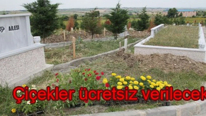 Hem Ulaşım, Hem çiçek ücretsiz