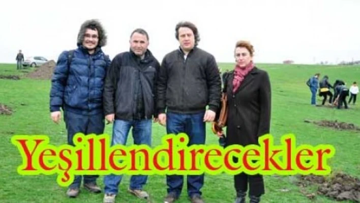 Avarız yeşillendirilecek
