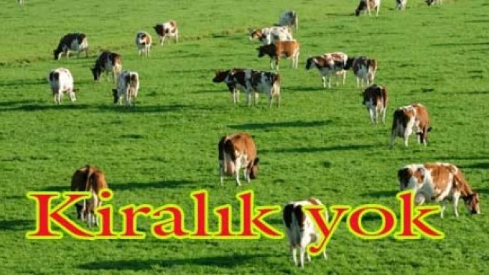 Edirne’de kiralık mera yok