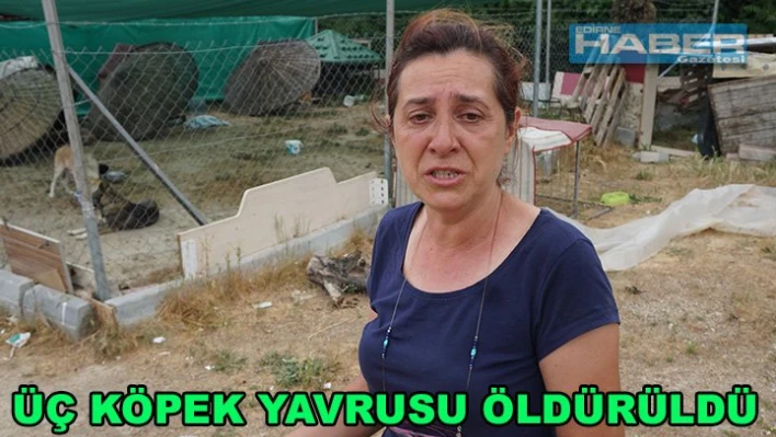'Allah'a havale ediyorum'