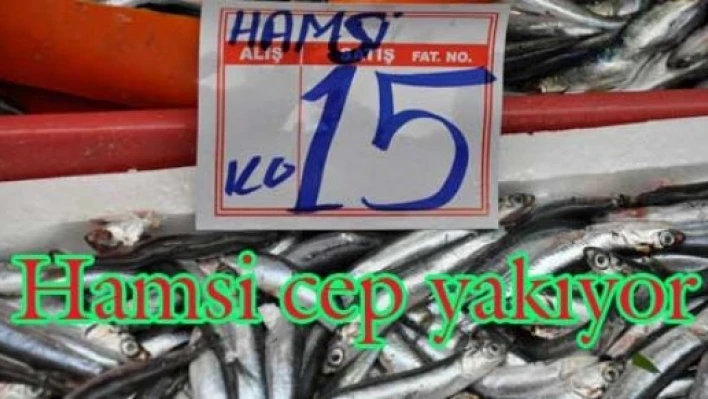 Balık fiyatları arttı