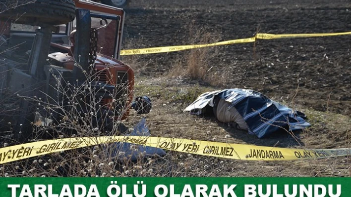 Tarlada çalışanlar fark etti