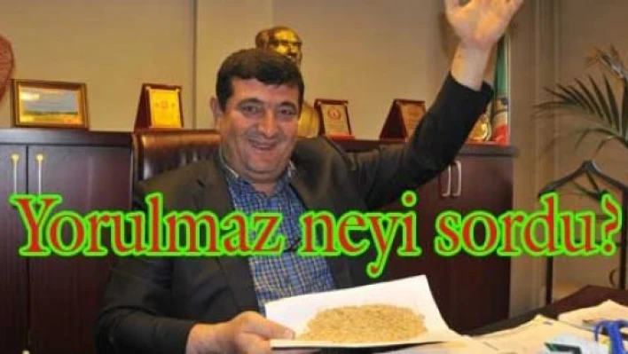 GDO’lu pirinçler ne olacak