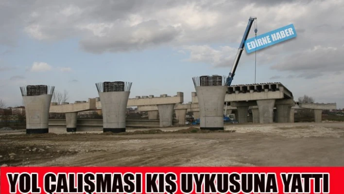 Kış uykusuna yattı