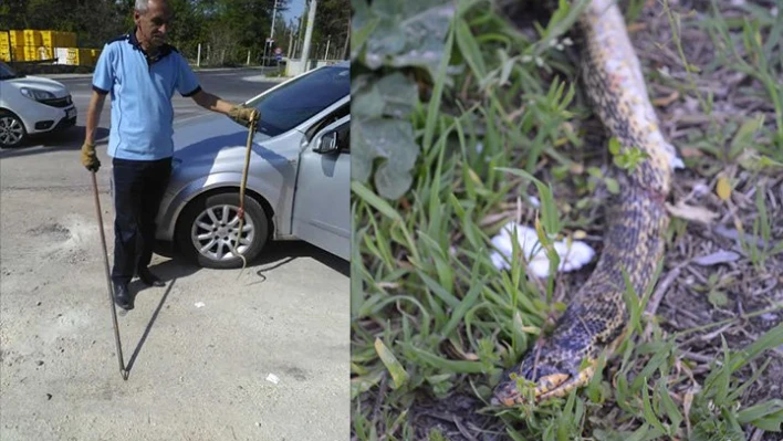 Otomobilin içinden çıkardılar