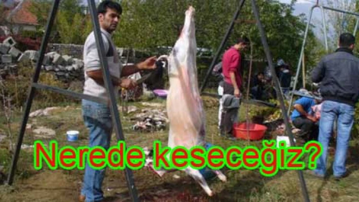 Kesim yerleri belirlendi