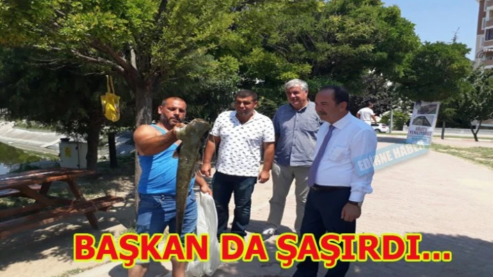 Başkan şaşırdı