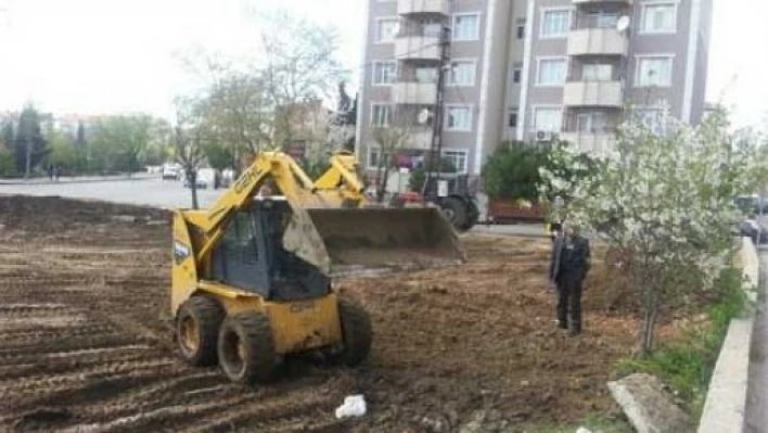 Ağaçlar dikildi