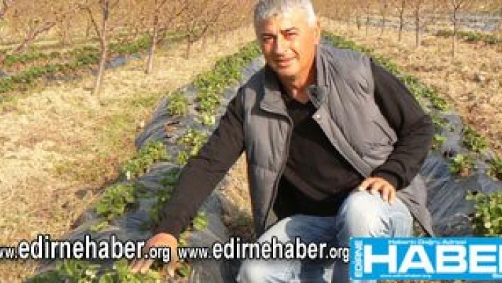 'Saadet bereket demektir'