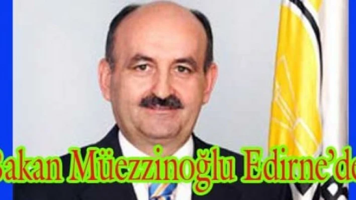 Edirne’ye bakan çıkarması
