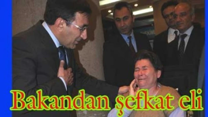 Hangisi daha şefkatli..!