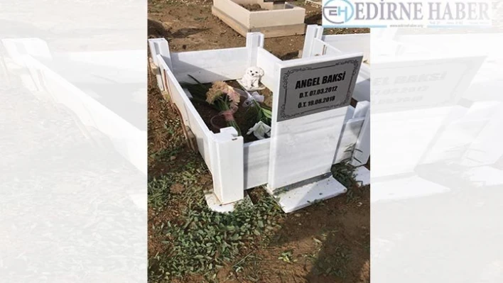 Otel sahibine dava açtılar