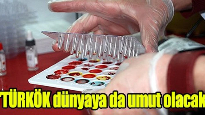 'TÜRKÖK dünyaya da umut olacak'