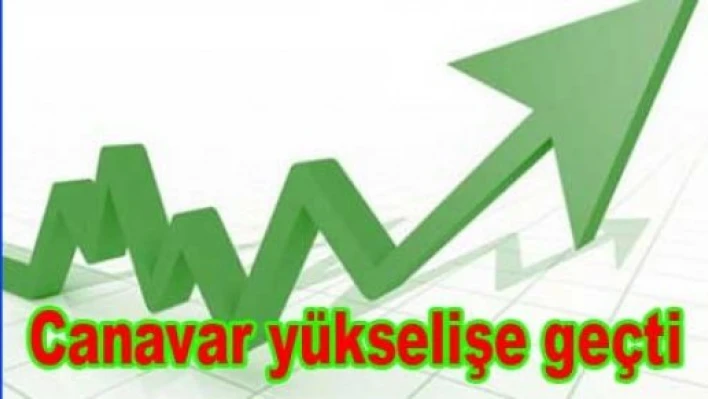 Enflasyon canavarı yükselişte