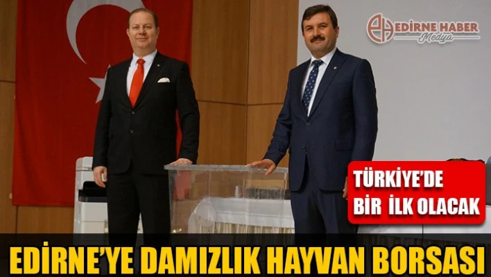 Damızlık Hayvan Borsası kurulacak