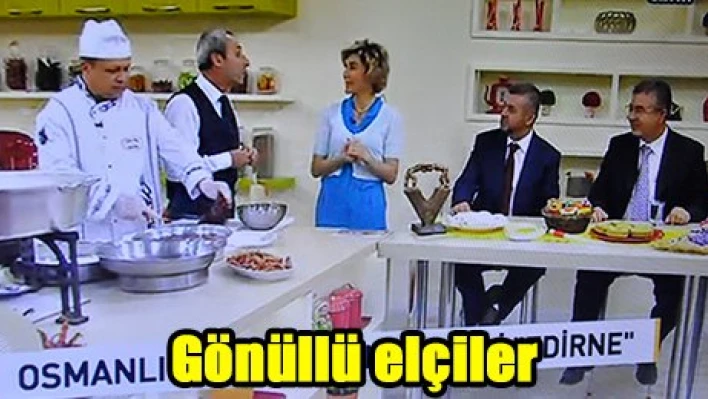 Gönüllü elçiler