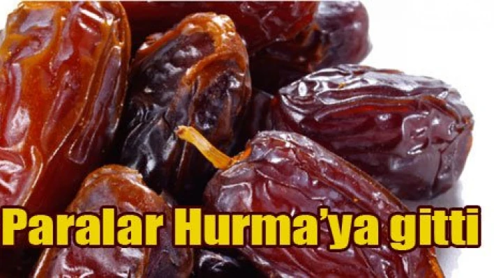 Paraları Hurma'ya bastık