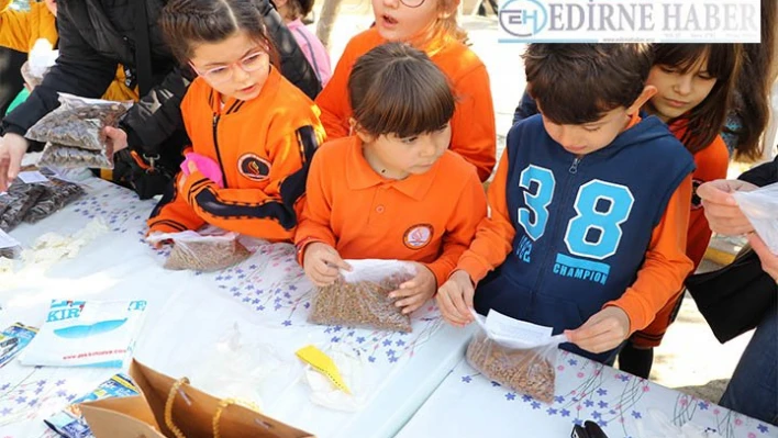 Öğrencilerden sokak hayvanlarını doyuran etkinlik