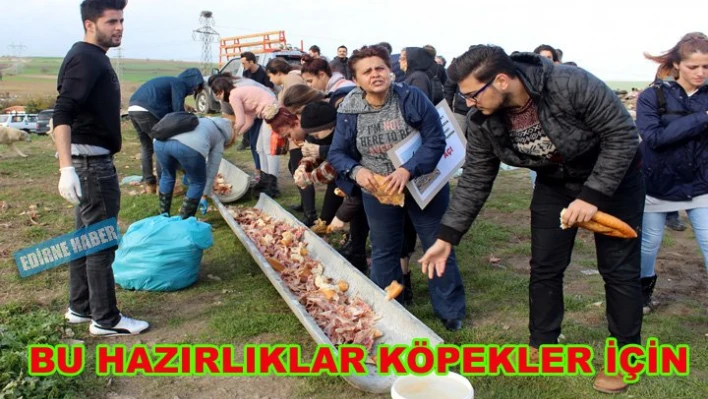 Aç kalan köpekleri beslediler