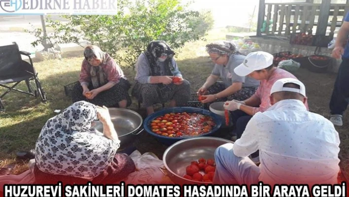 HUZUREVİ SAKİNLERİ DOMATES HASADINDA BİR ARAYA GELDİ