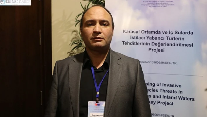 İstilacı İsrail sazanı içme suyu havzalarını tehdit ediyor