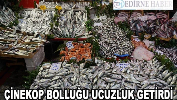 Çinekop bolluğu ucuzluk getirdi