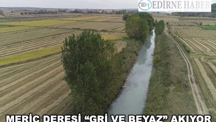 Meriç Deresi kirlilik nedeniyle 'gri ve beyaz' akıyor