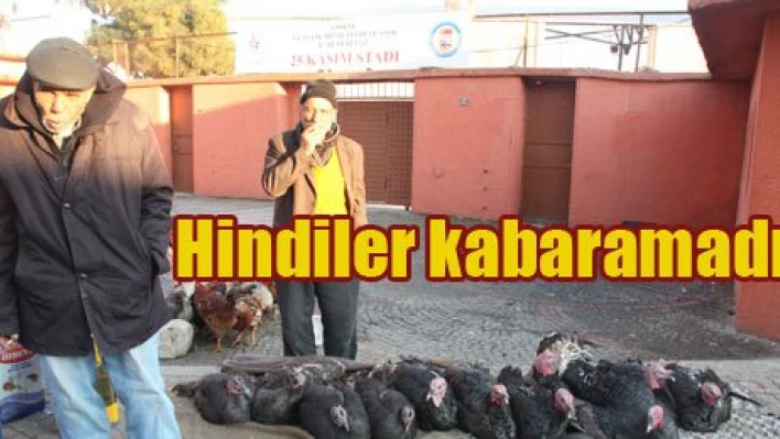 Bir baba hindi