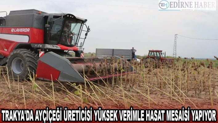 Trakya'da ayçiçeği üreticisi yüksek verimle hasat mesaisi yapıyor